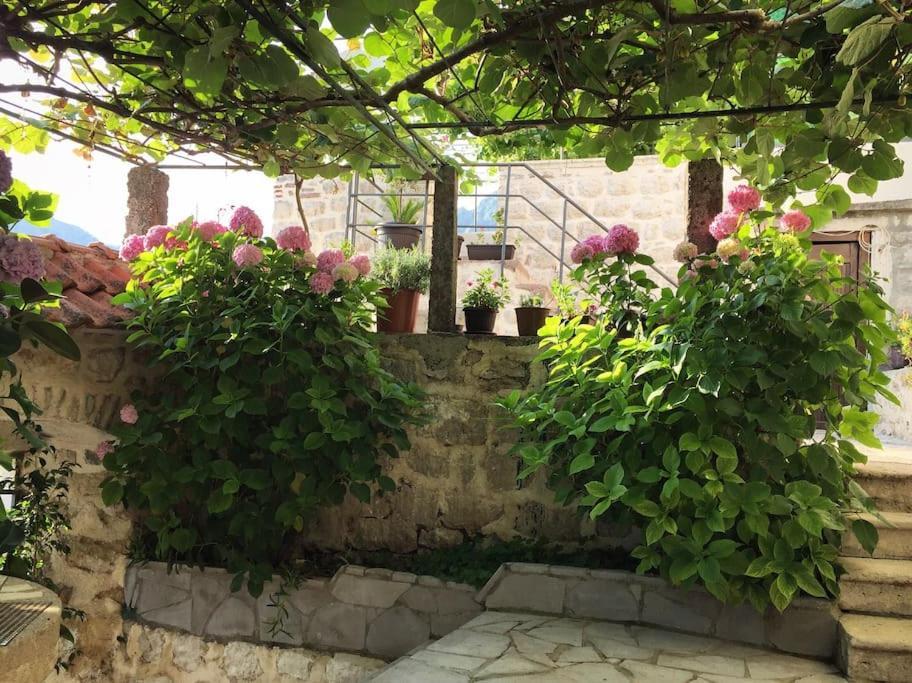 קוטור Apartment Terazza Di Ljuta מראה חיצוני תמונה